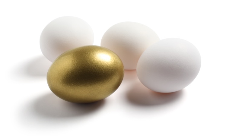 GoldEgg <span>Eggs that fit <strong>your</strong> food philosophy.</span>